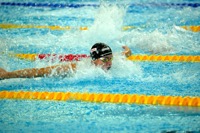 MSJ Foltyn patek small